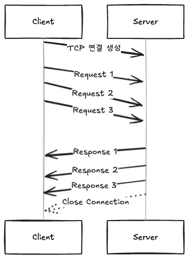 여러 요청을 연속 전송하고 같은 순서로 응답받는 HTTP 파이프라이닝